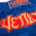 Muay Thai shorts - BLUE GOLD