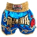 Stars Muay Thai shorts