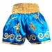 Stars Muay Thai shorts