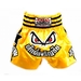 Lumpinee Stars Muay Thai shorts