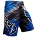 Chikara 3 Fight Shorts - Blue