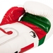 Elite Italy Boxing Gloves - Ice