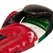 Elite Mexique Boxing Gloves - Black