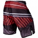 Elite 2.0 Fightshorts - Black